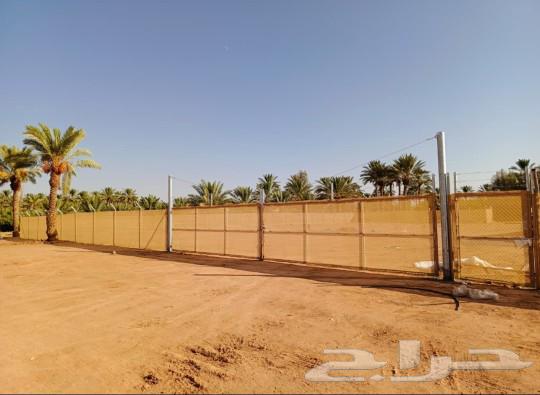 شبوك64204090783361111