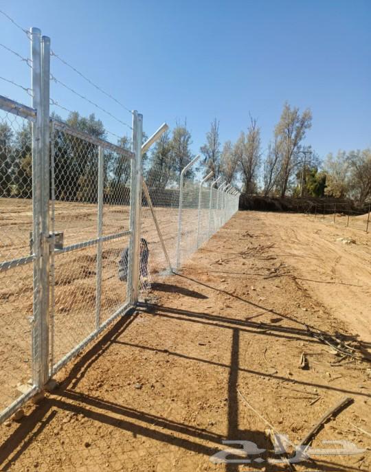 شبوك64204090783361113