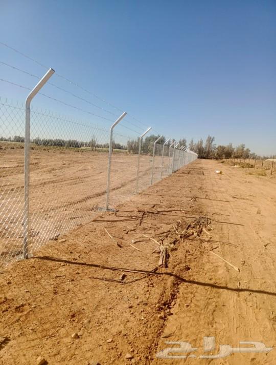 شبوك64204090783361112