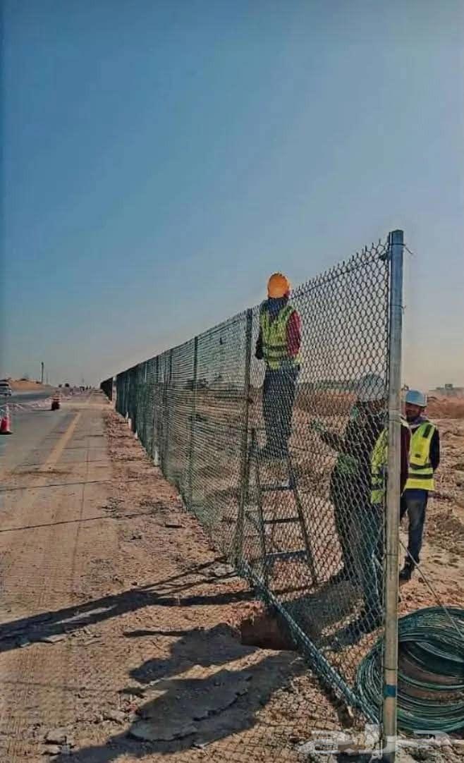 ابو احمد مقاول عام64204351827843114