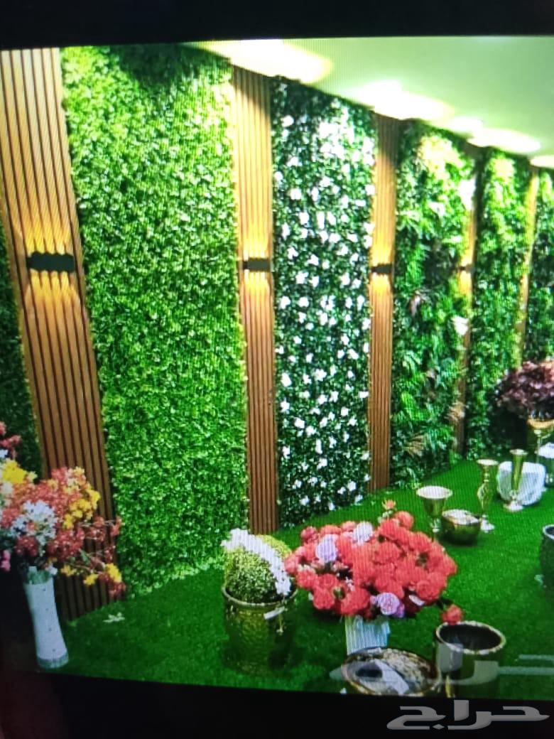 عشب زراعي للملاعب والحدائق تخفيضات تخفيضات64203858361346113
