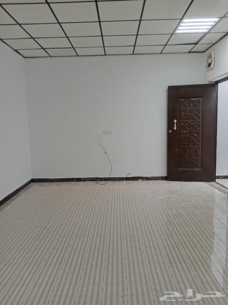 شقة للإيجار