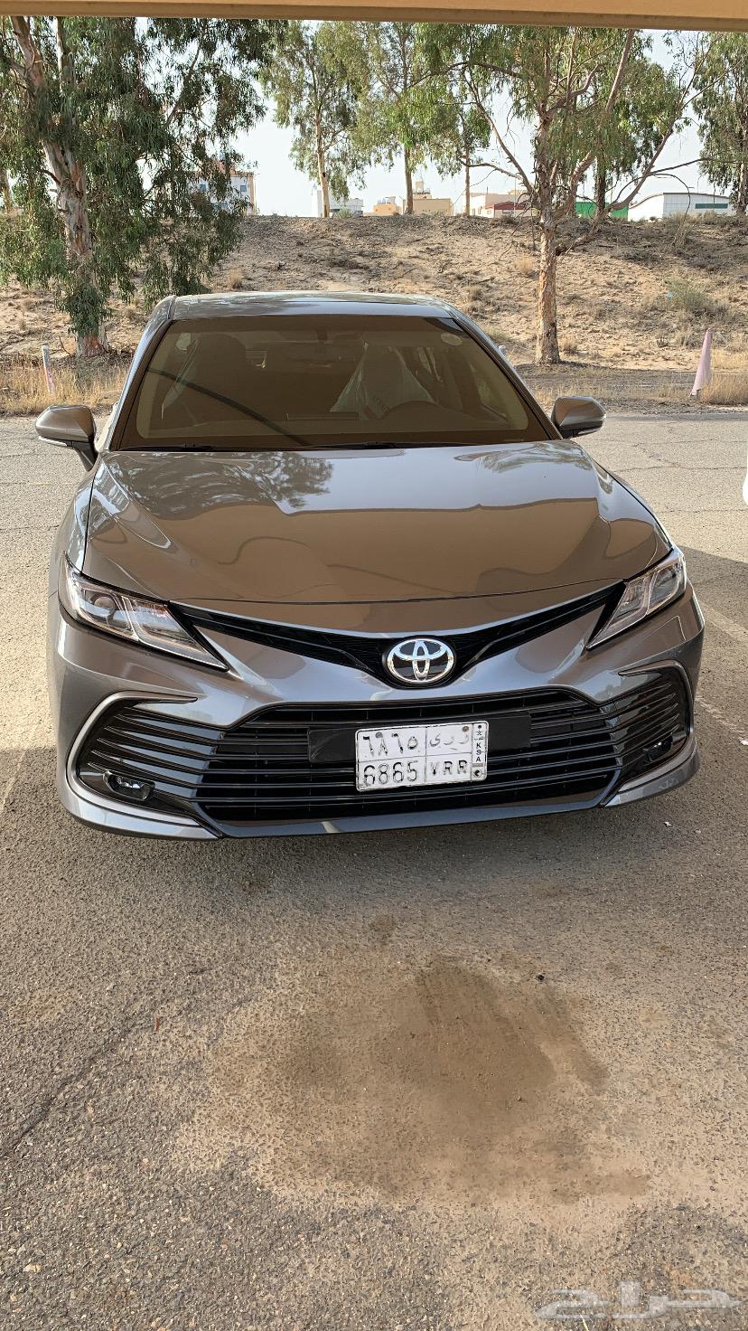 كداد الى المدينة المنوره64213283897474110