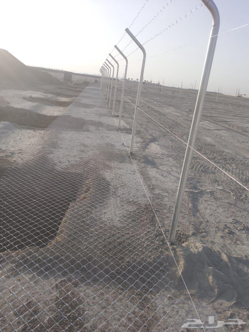 شبوك64203598748675110