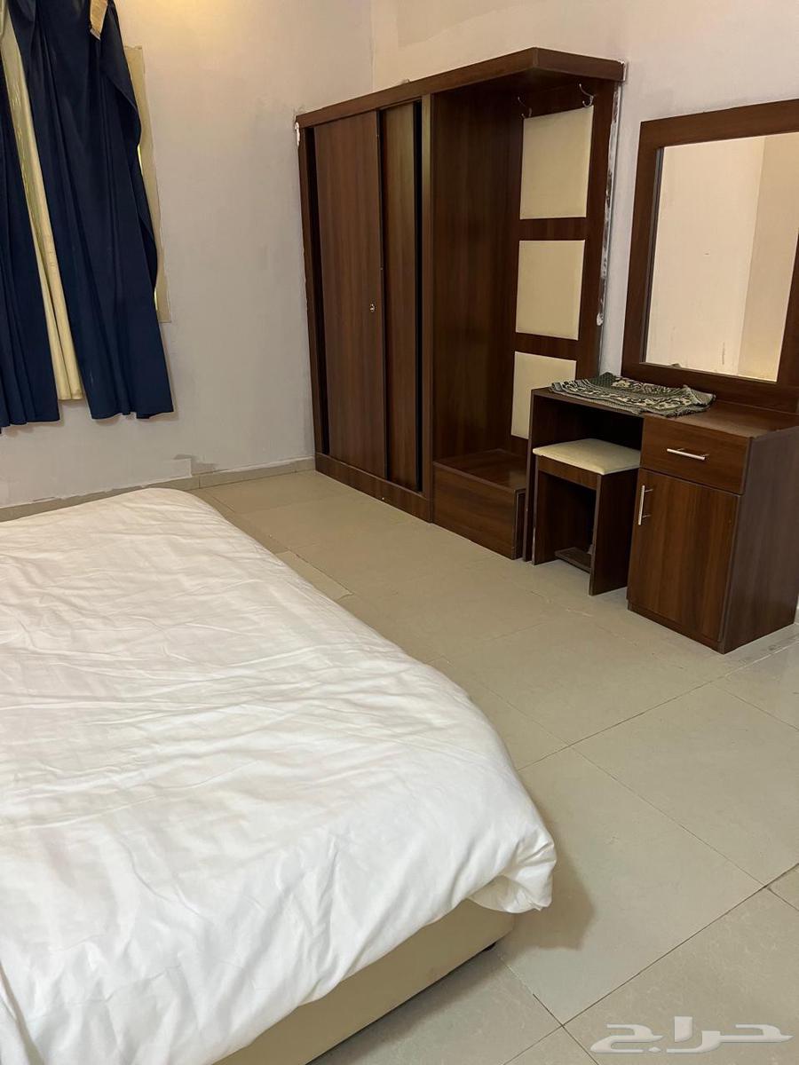 شقق للايجار مفروشة الشهري في جيزان64161167360513113