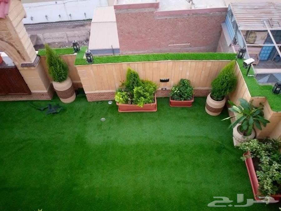 صيانة حدائق64204578479746110