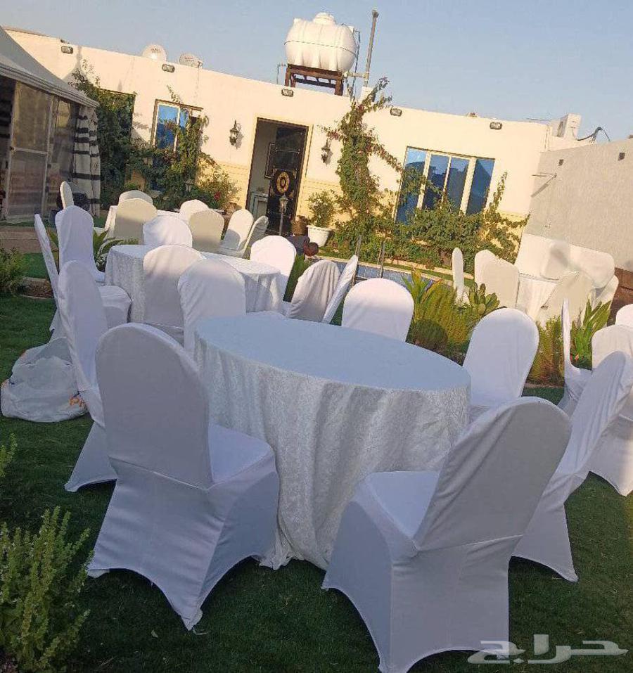 تأجير كراسي تاجير كنب تأجير اقود64204579854722110