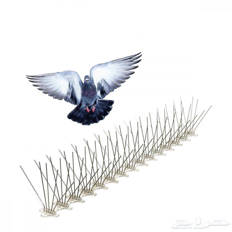 تركيب طارد الحمام في جده64207490628099110