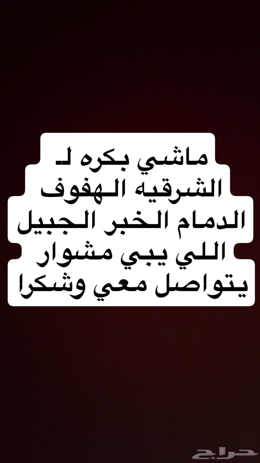 مشاوير من الشرقيه الى الرياض و العكس ان شاءالله64224603570691110