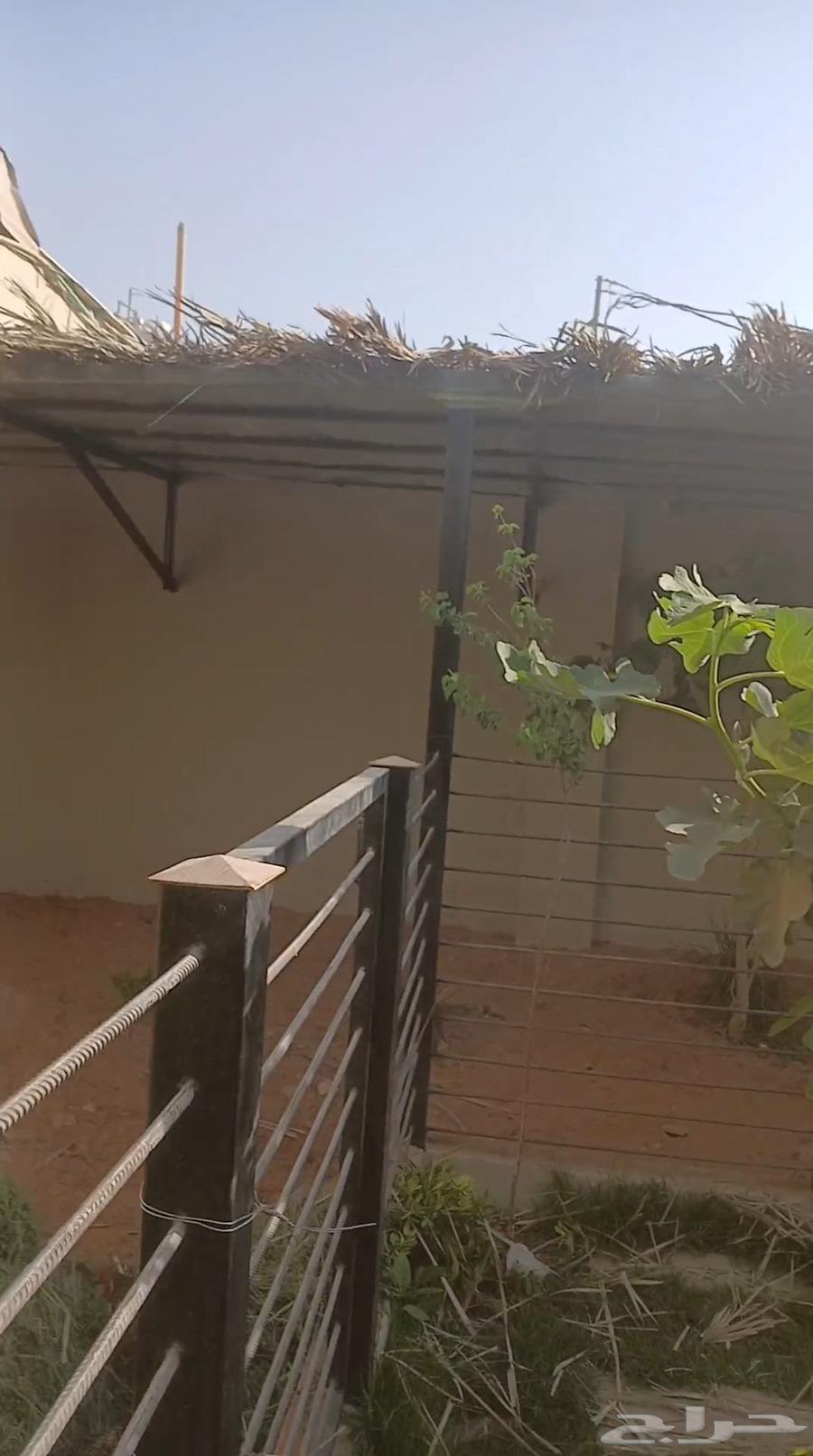 الرياض الجنادرية64206007967745112