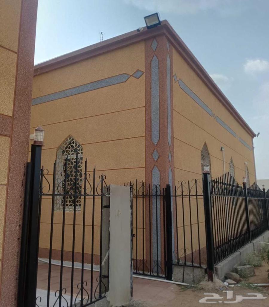 دهان مصري64207491424130112