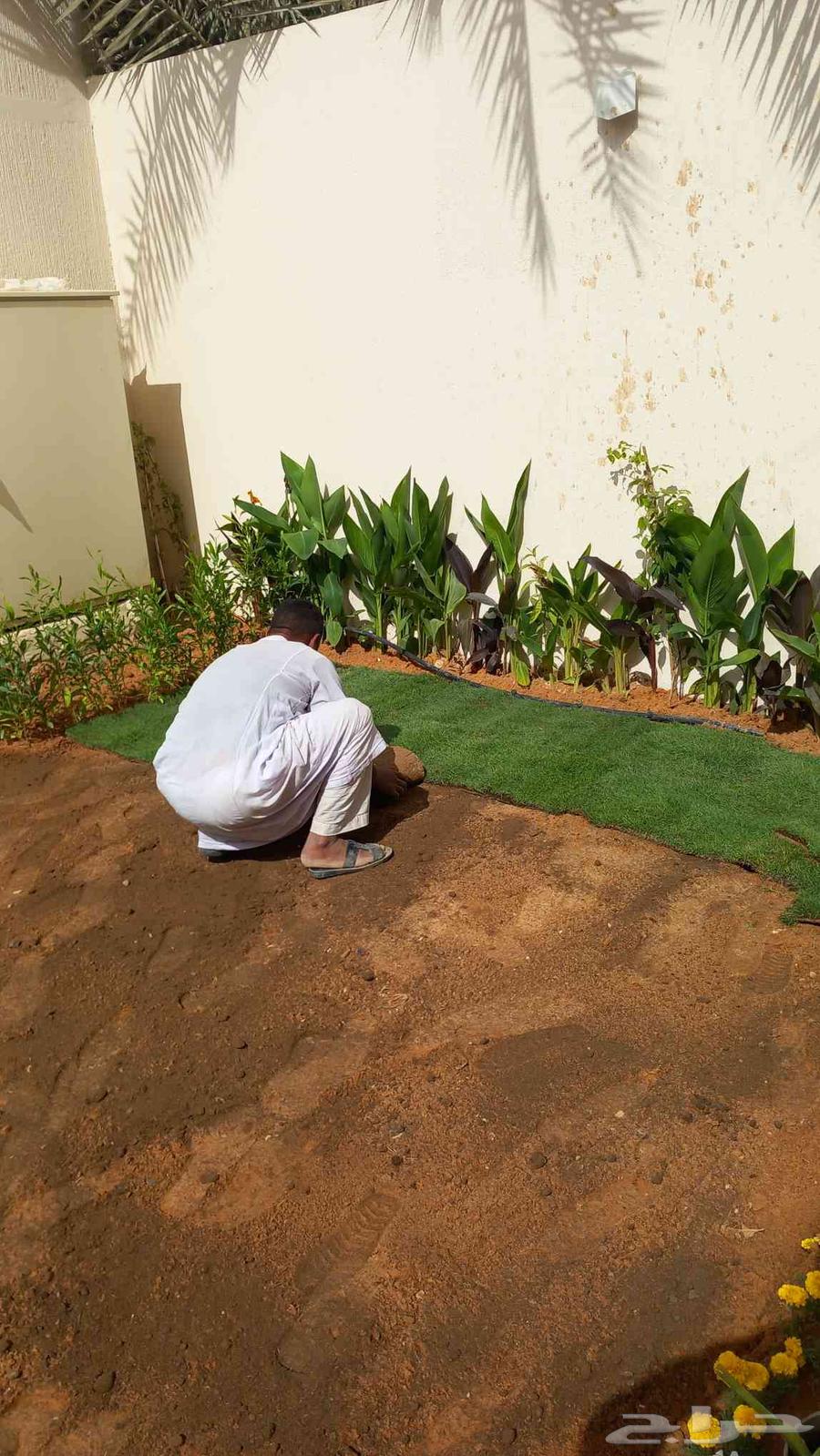 زراعة وصيانة الحدائق64206427128962113