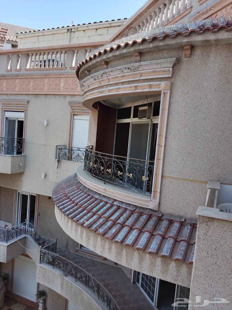 تركيب طارد الحمام في جده64207490628099112