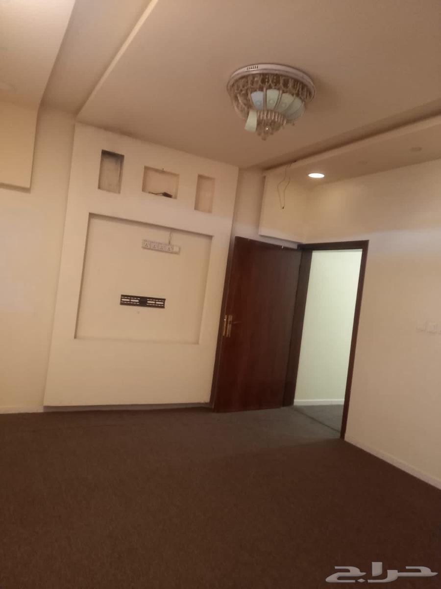 شقة للإيجار