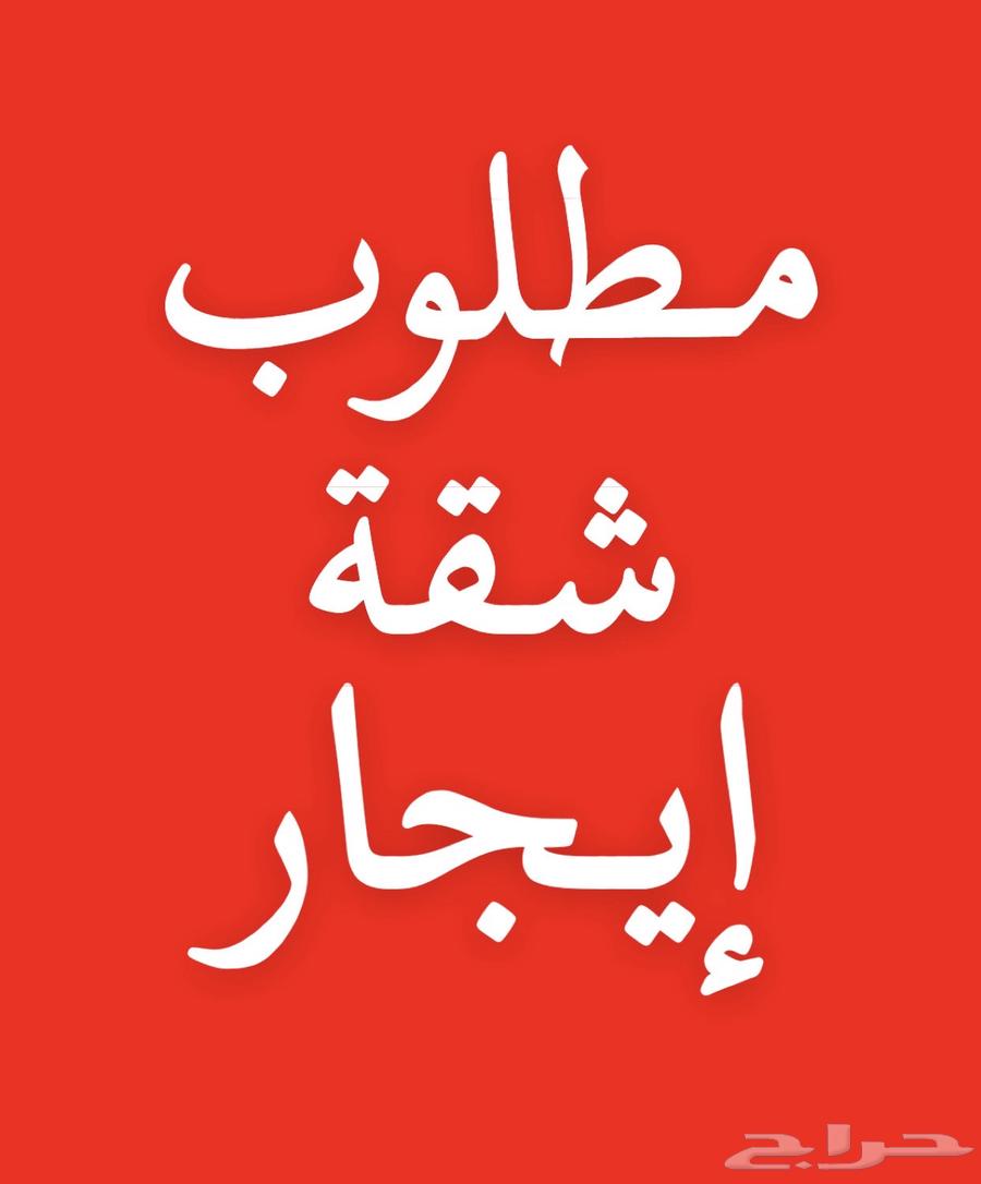 مطلوب شقة ايجار شهري الشفا64165391827586110