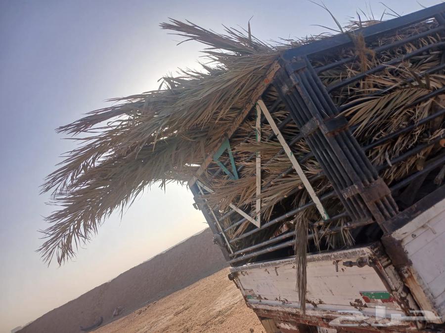 الرياض الجنادرية64206007967745111