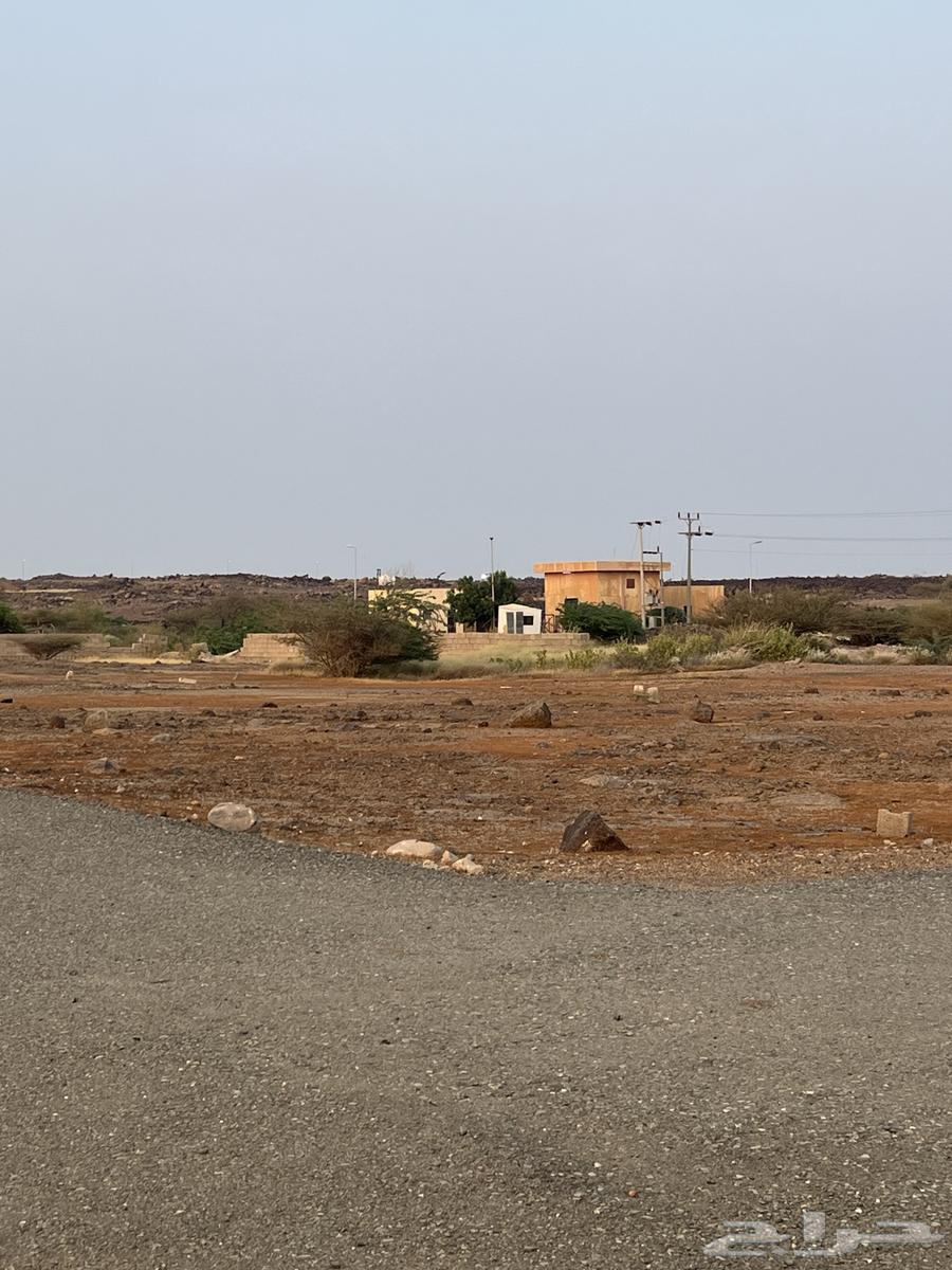 ارضين متجاورتين للبيع في الحريضه64173109238273111