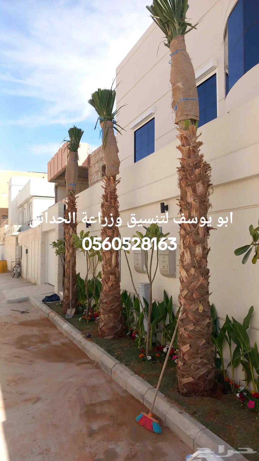 زراعة وصيانة الحدائق64206427128962114