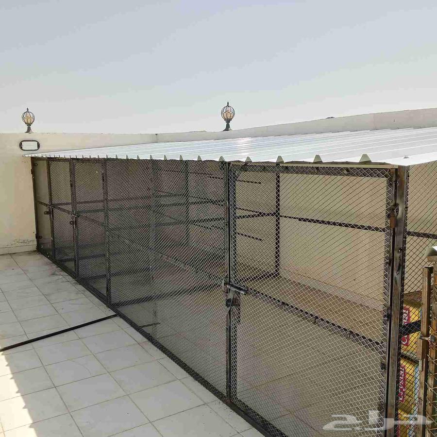 حداد مدينه64206207754113110