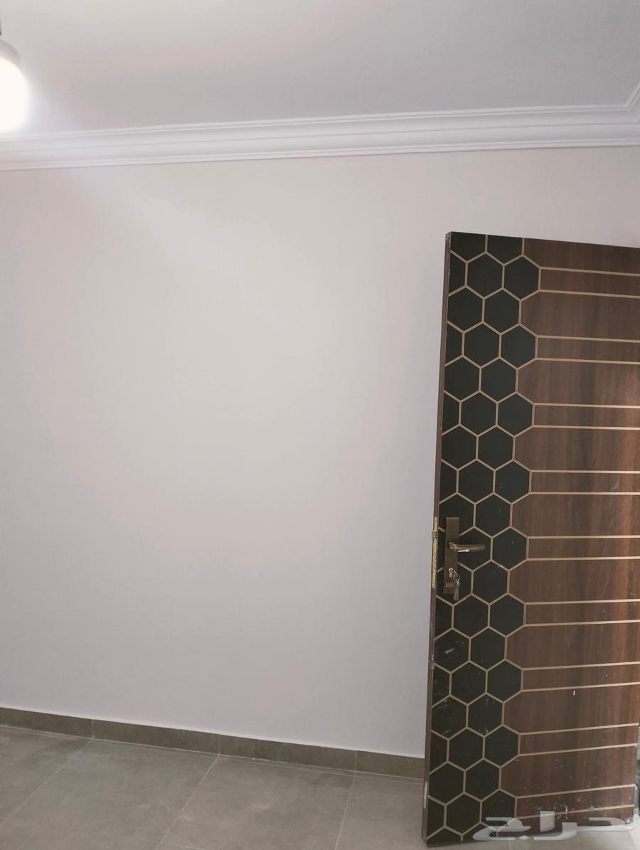 تشطيبات البيت الحديث للمقاولات64205590472323113