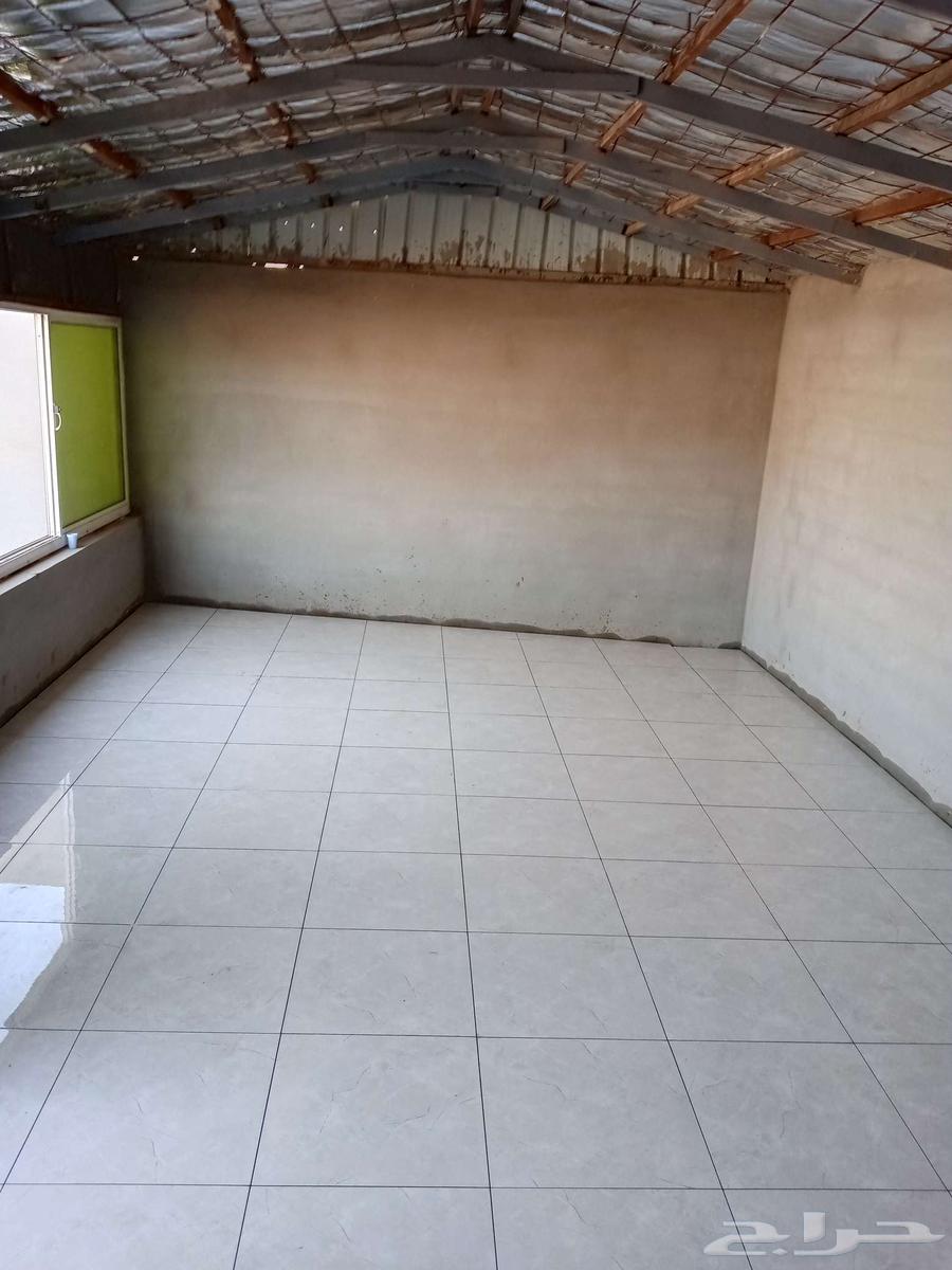 مبلط سيراميك64206008456450111