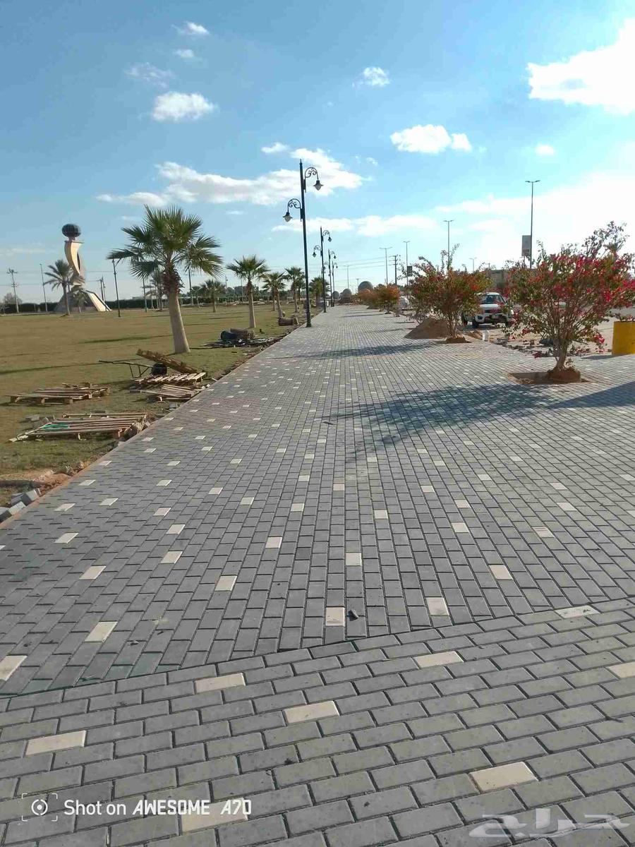 رياض الخبراء64206008724610113