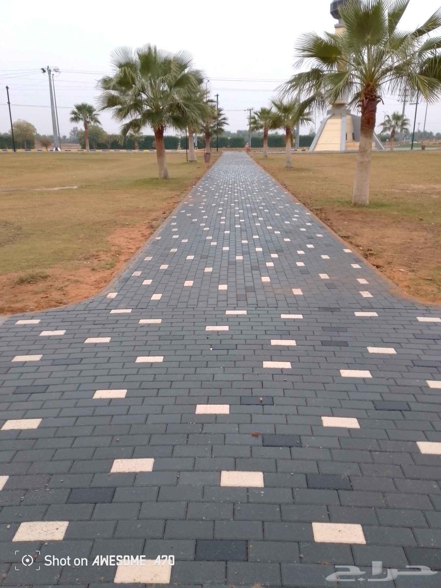 رياض الخبراء64206008724610111