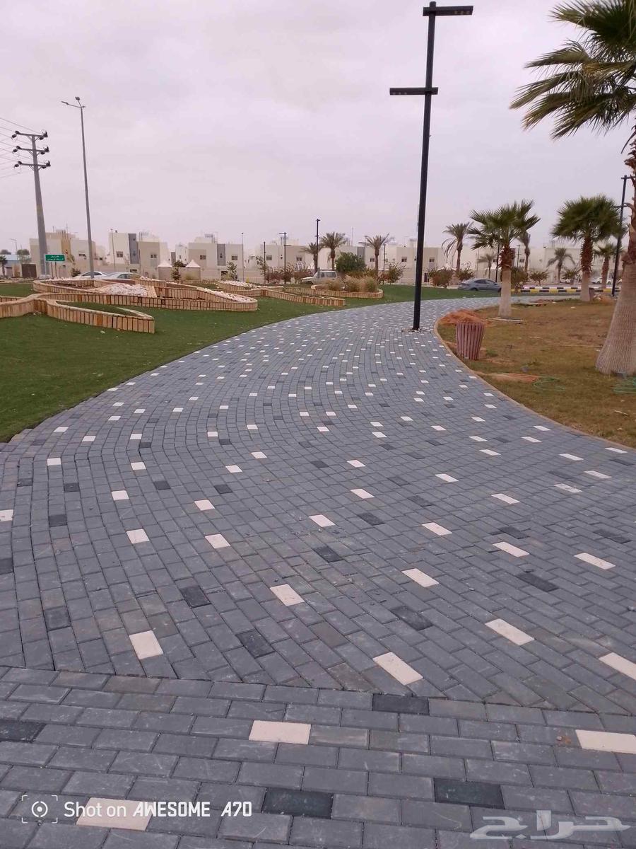 رياض الخبراء64206008724610112