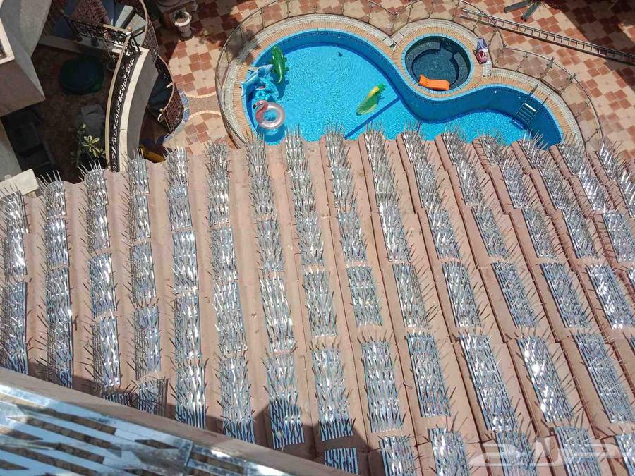 تركيب طارد الحمام في جده64207490628099111