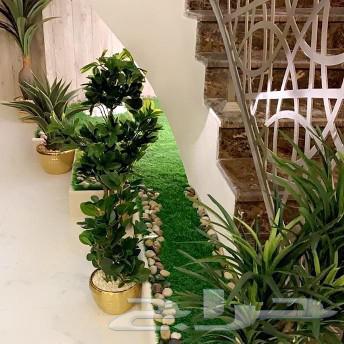 تنسيق حدائق الرياض64206424571139111