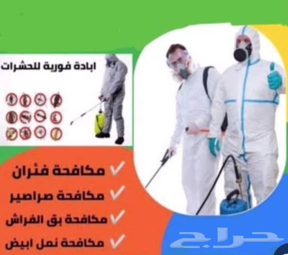 Pest Control in Jeddah - Pesticide Spraying, Insect Extermination for Cockroaches, Bed Bugs, Ants and Lizards64213282117761111