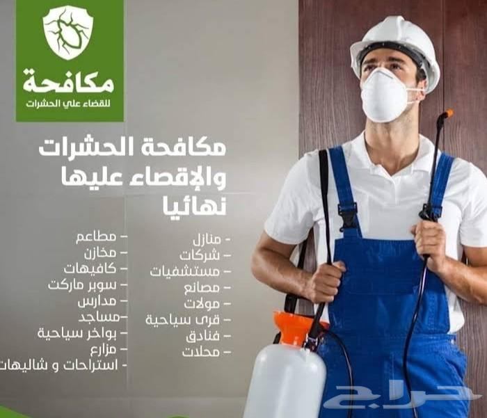 Pest Control in Jeddah - Pesticide Spraying, Insect Extermination for Cockroaches, Bed Bugs, Ants and Lizards64213282117761112