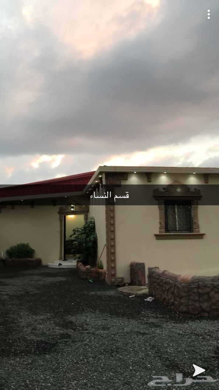 Abu Hatim Rest Area64170428473602112