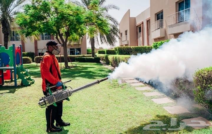 Pest Control in Jeddah - Pesticide Spraying, Insect Extermination for Cockroaches, Bed Bugs, Ants and Lizards64213282117761113