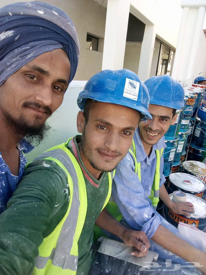 معلم دهانات. كل انواع الدهانات64206209256451110