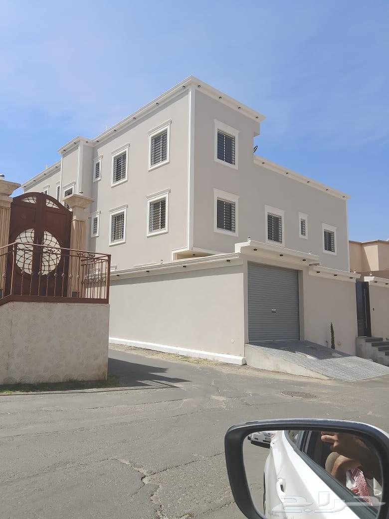 Painter, graffiti, electricity, plumbing, and tiling64206843970050111