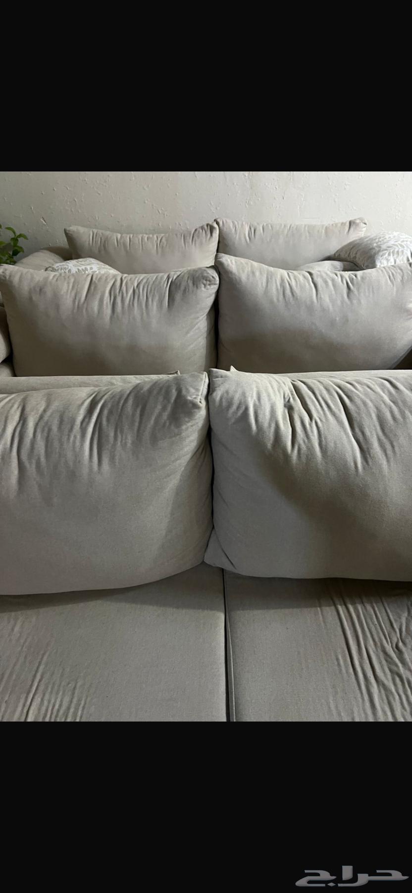 Custom-made sofa64206645195139111