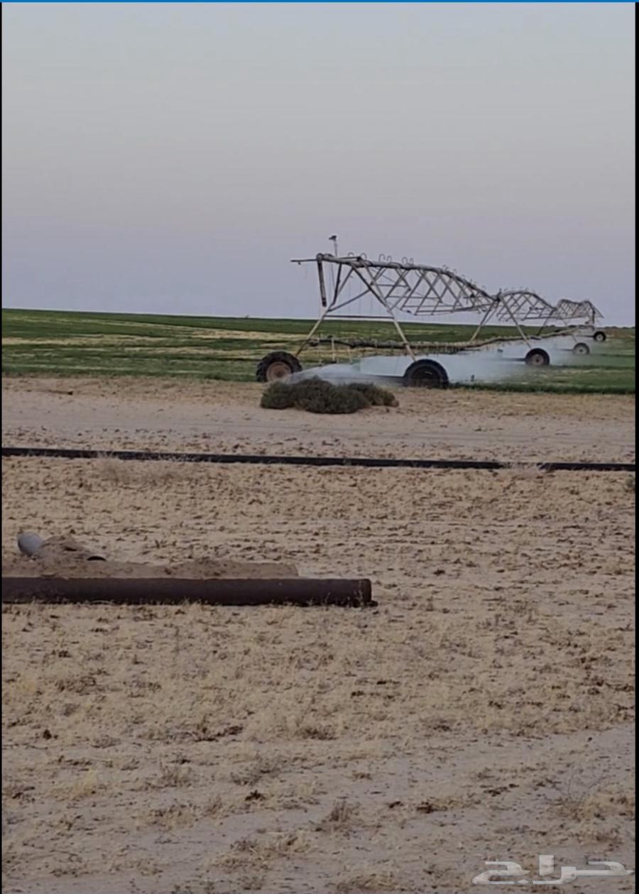 للبيع مزرعه بثاج صك الإلكتروني مساحتها 2 مليون متر64173107876226110