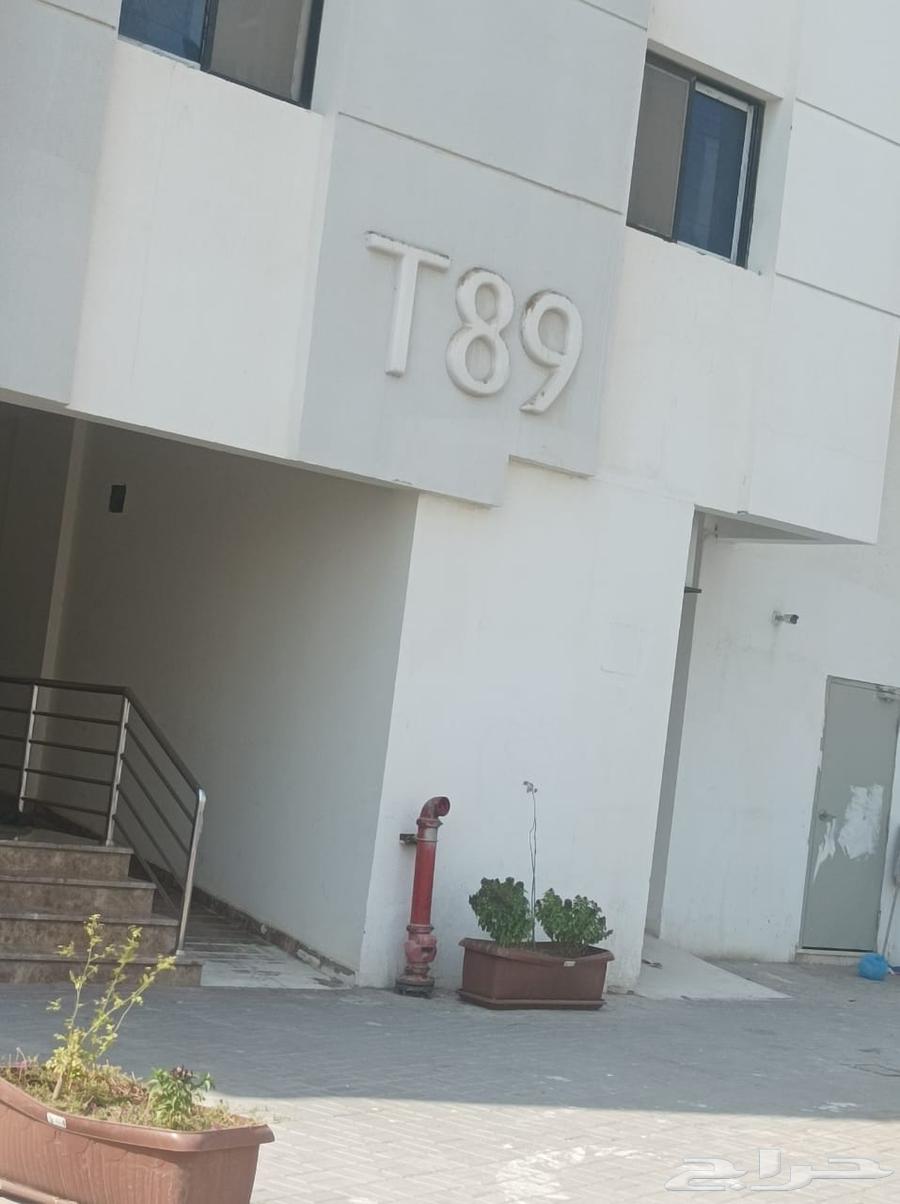 عمارة للإيجار