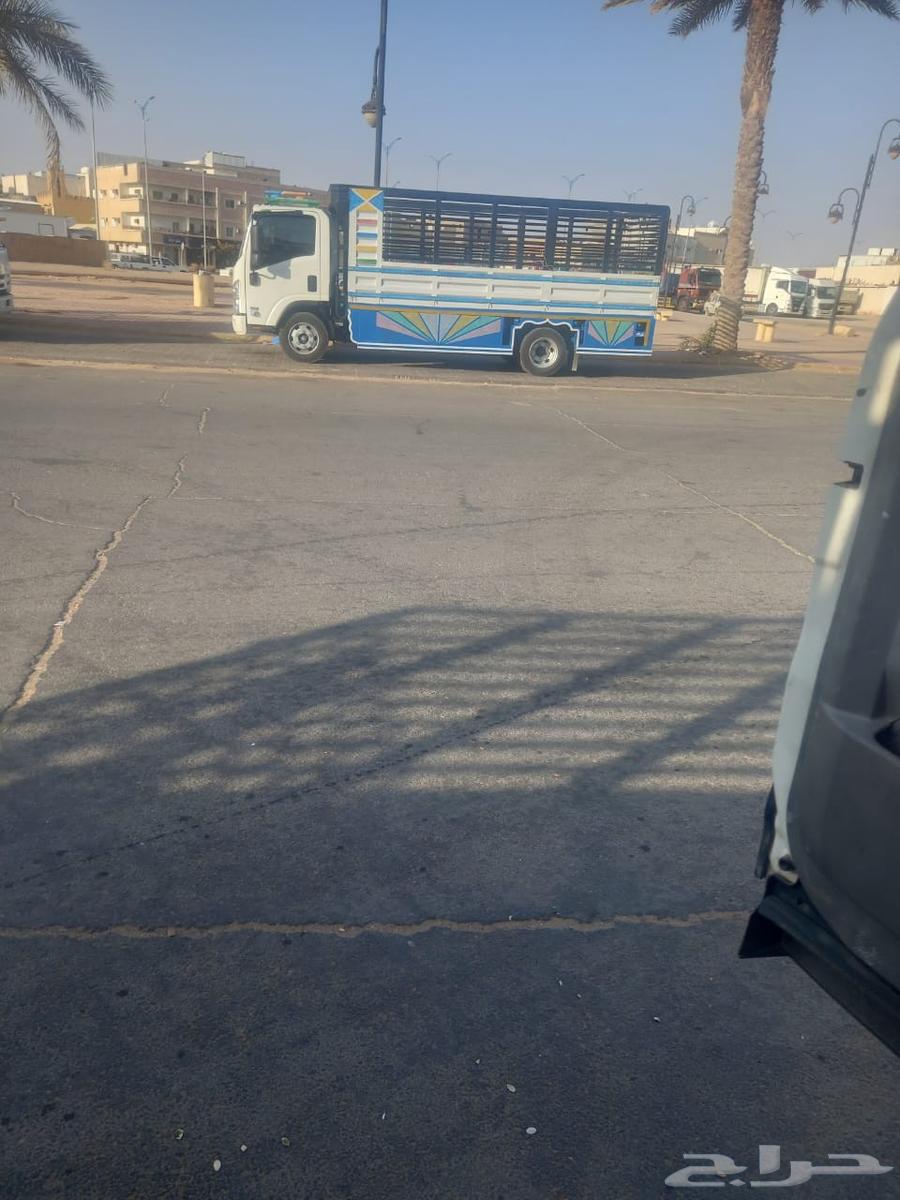 نقل عفش64207265283969110