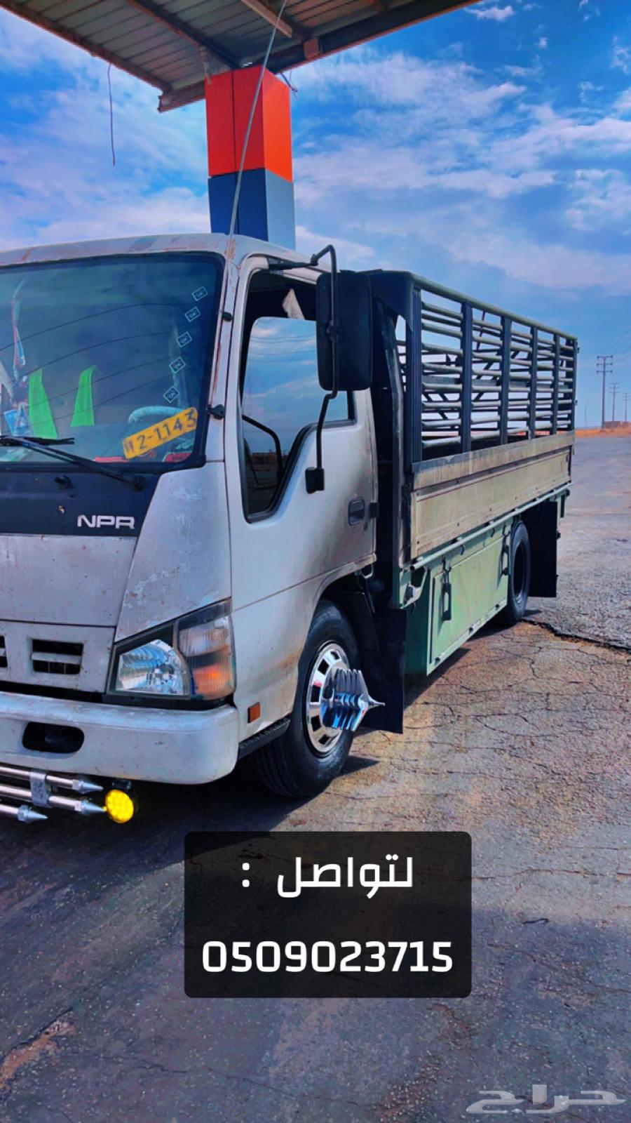 Transportation services within and outside Rafha available with assembly and disassembly workers64208585634947110