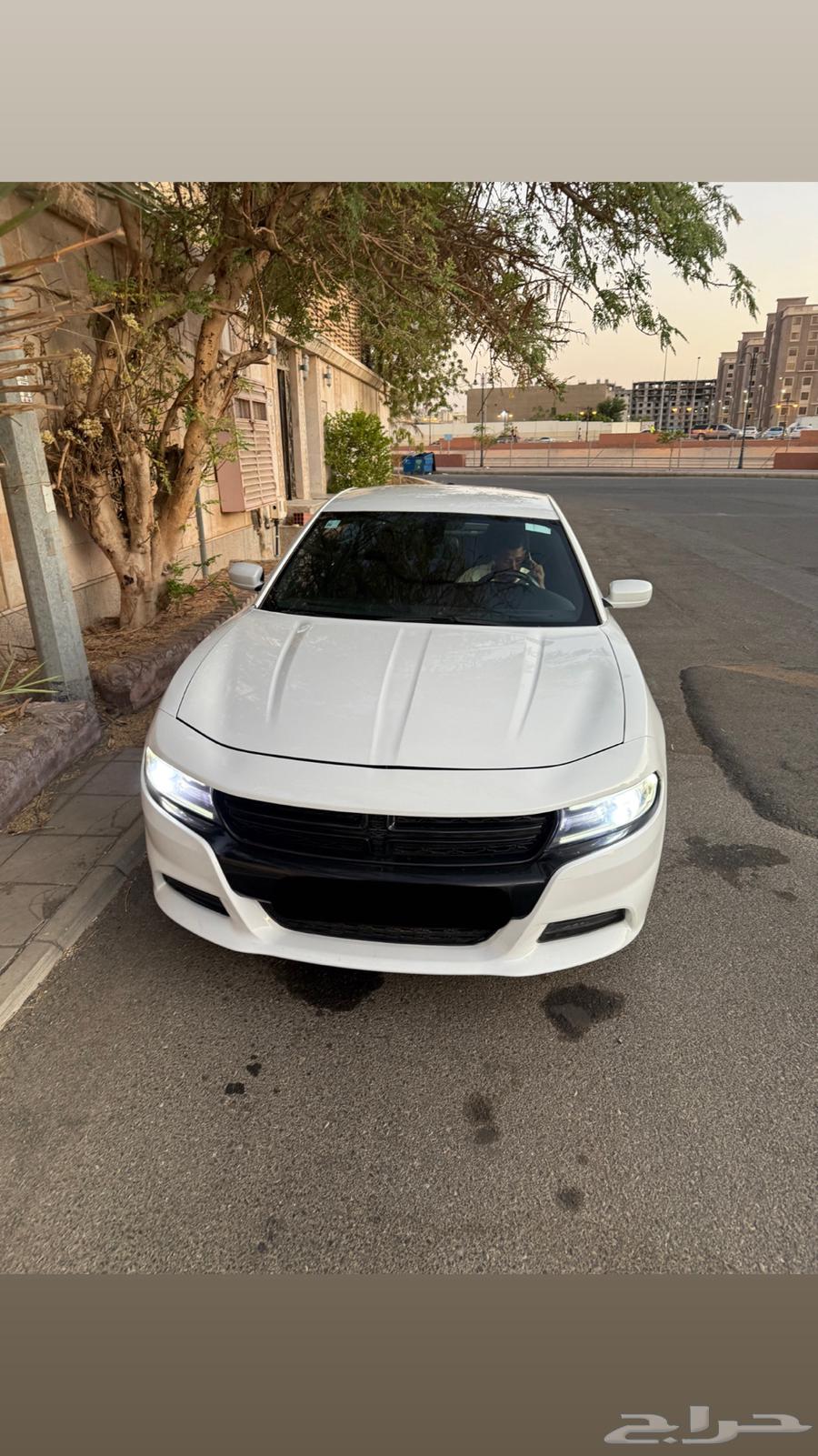 Delivery of trips or orders within Jeddah or outside Jeddah64208359903746110