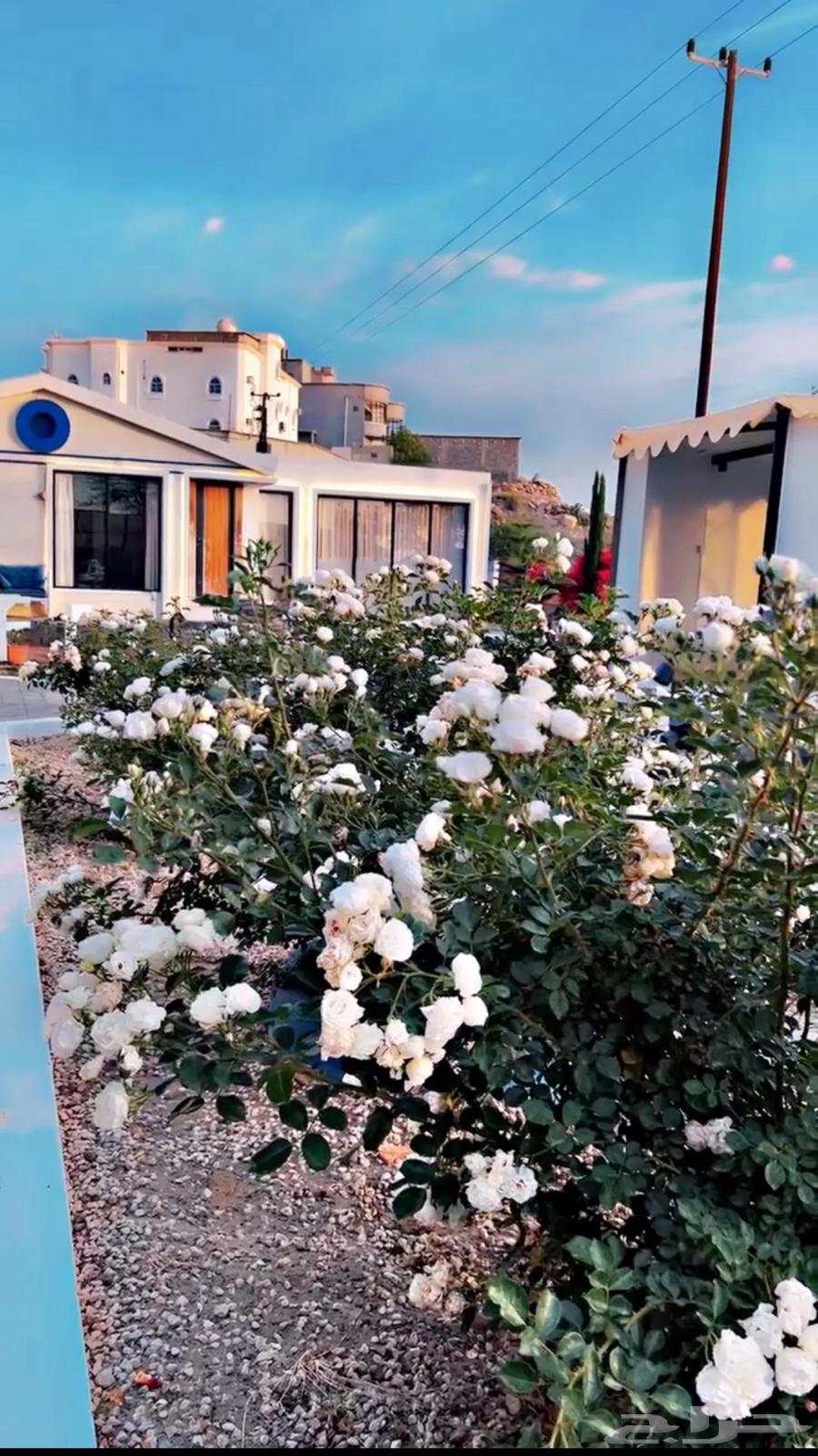 تنسيق الحدائق المنزلية64207700414209114