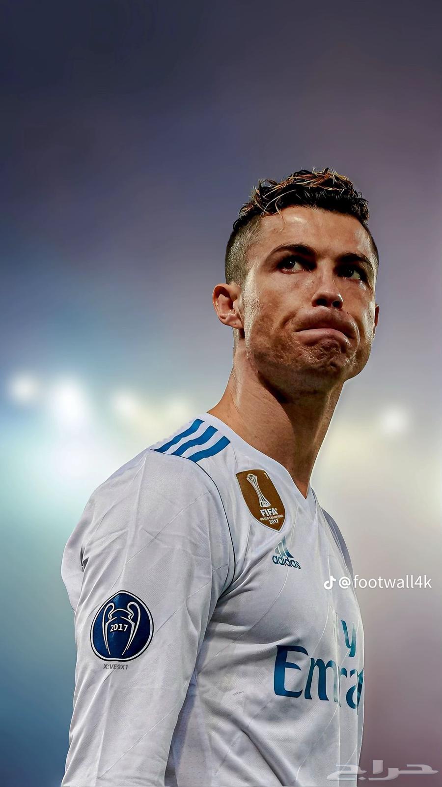 نخيل واشنطن للبيع64207935341057112