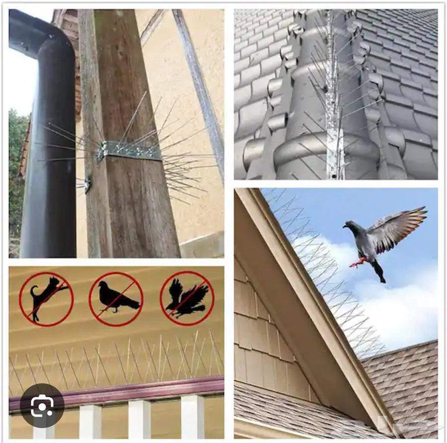 Bird Repeller64207938273411111