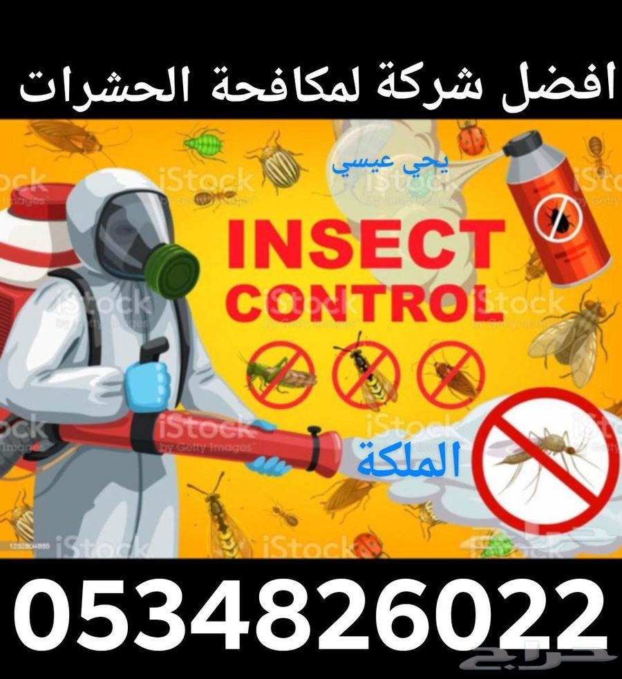 شركة تنظيف خزانات بمكة ومكافحة الحشرات بمكه64208164244739114