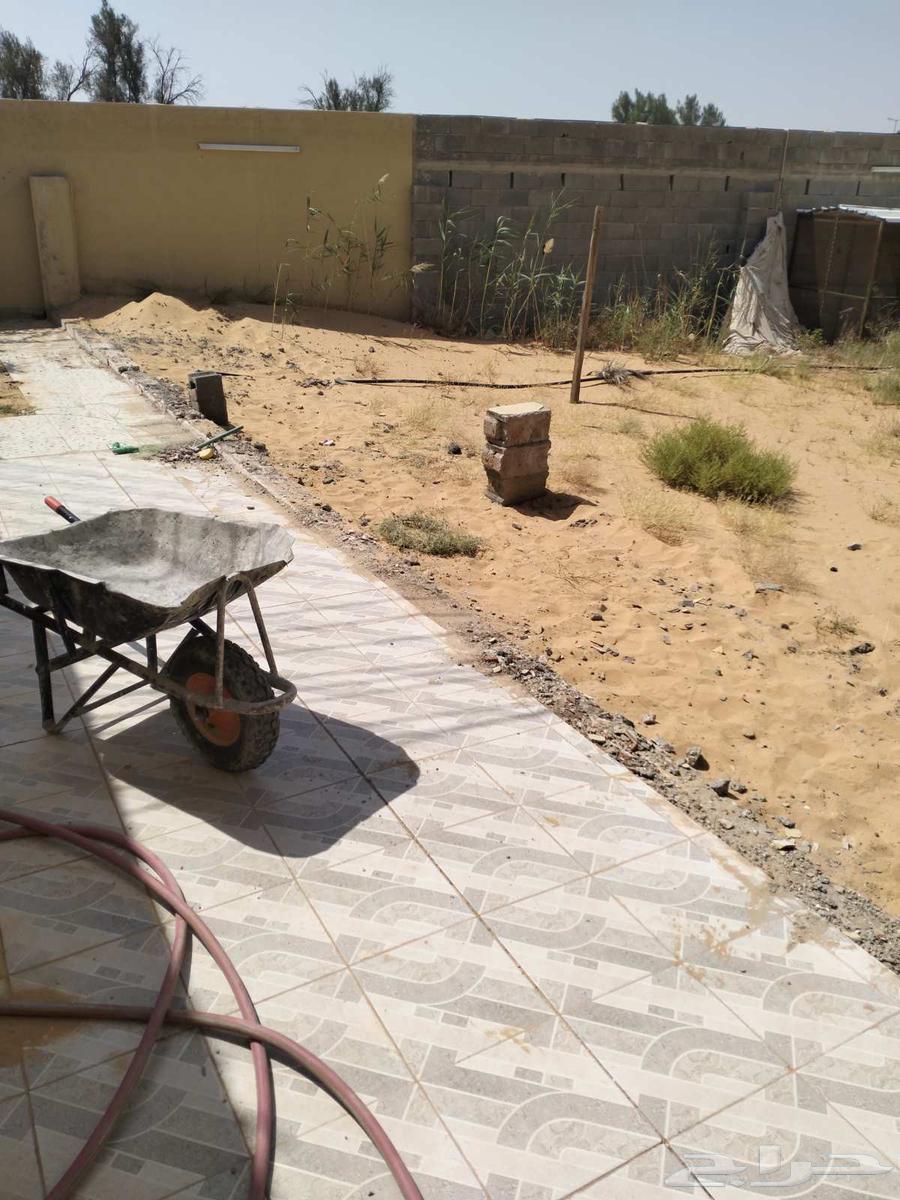 Demolition and Crushing64208803024002113