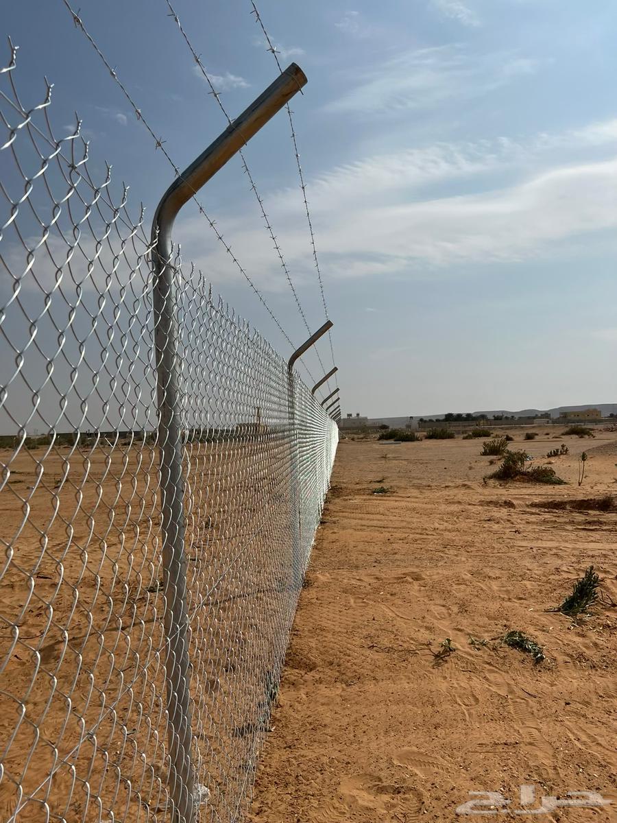 شبوك مزارع القصيم64208803251971111