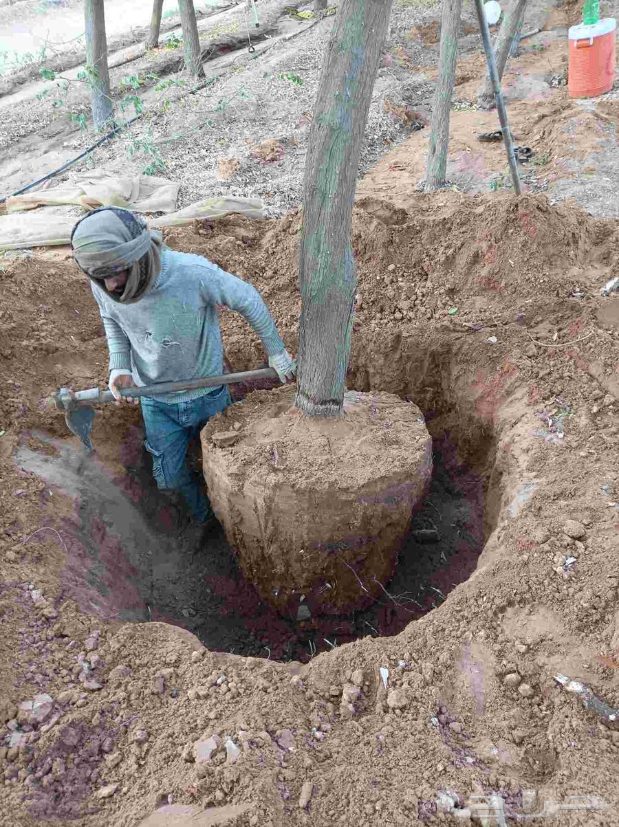 السلام عليكم ورحمة الله وبركاته64208163094787112