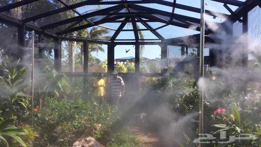 Fog mist columns fans sanctuary and garden64239593606275113